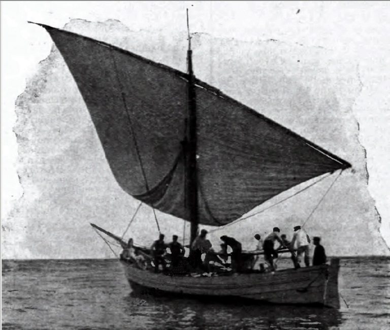030 Coralline en mer 1906