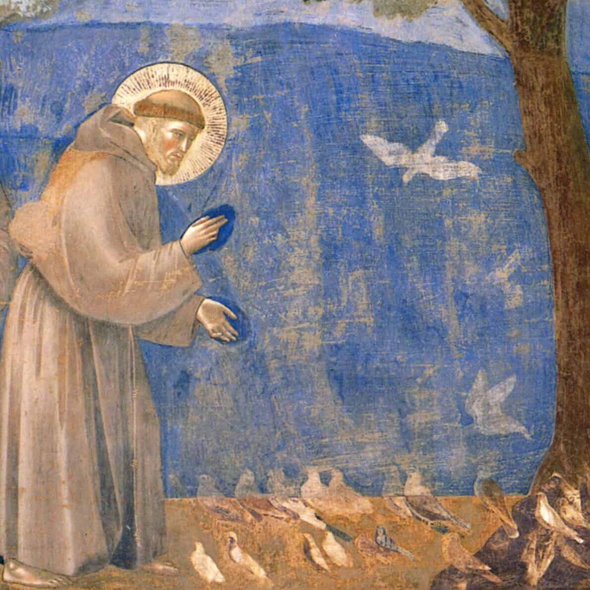 13.Giotto-La-predica-agli-uccelli.-Assisi-Basilica-superiore-di-San-Francesco-1-scaled-e1665007705941