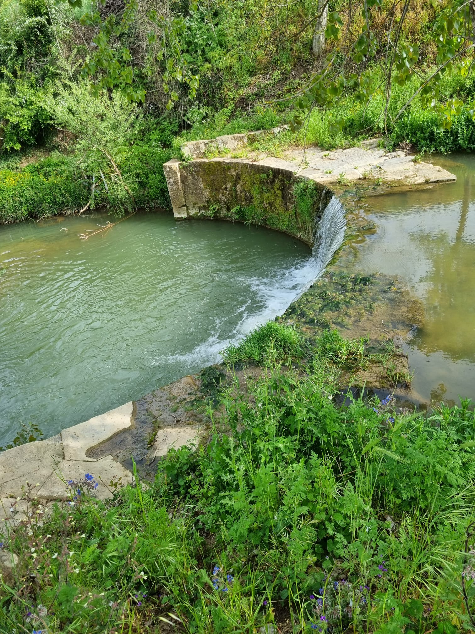 7.IMG-20260226-WA0012